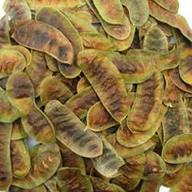 Manufacturers Exporters and Wholesale Suppliers of Senna Pods Sojat Rajasthan